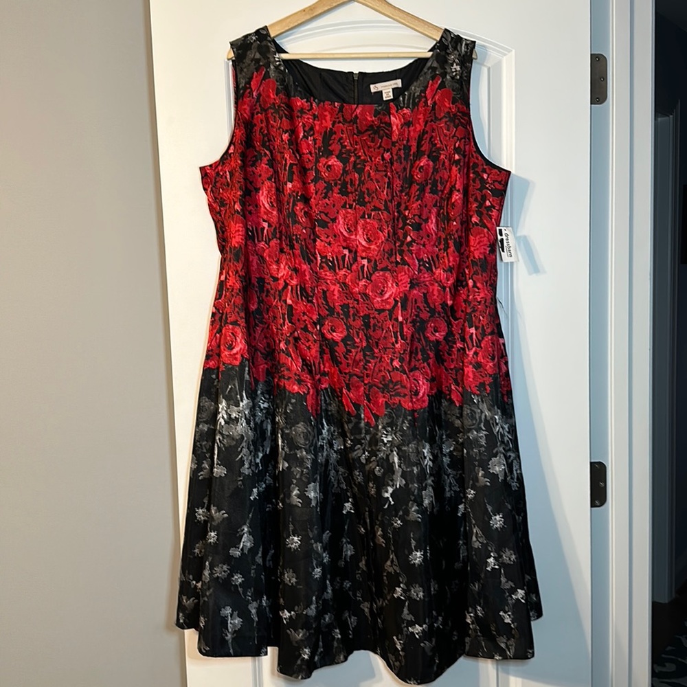 Dress Barn fit & flare